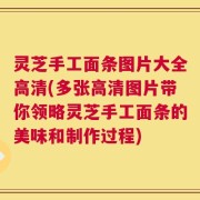 灵芝手工面条图片大全高清(多张高清图片带你领略灵芝手工面条的美味和制作过程)