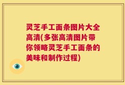 灵芝手工面条图片大全高清(多张高清图片带你领略灵芝手工面条的美味和制作过程)