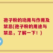 孢子粉的功用与作用及禁忌(孢子粉的用途与禁忌，了解一下！)
