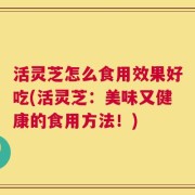 活灵芝怎么食用效果好吃(活灵芝：美味又健康的食用方法！)