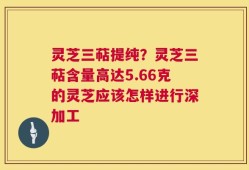 灵芝三萜提纯？灵芝三萜含量高达5.66克的灵芝应该怎样进行深加工