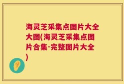 海灵芝采集点图片大全大图(海灵芝采集点图片合集-完整图片大全)