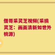 僧哥采灵芝视频(采摘灵芝：画面清新如世外桃源)