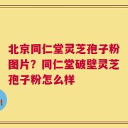 北京同仁堂灵芝孢子粉图片？同仁堂破壁灵芝孢子粉怎么样