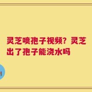 灵芝喷孢子视频？灵芝出了孢子能浇水吗