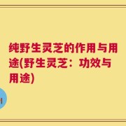 纯野生灵芝的作用与用途(野生灵芝：功效与用途)