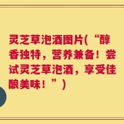 灵芝草泡酒图片(“醇香独特，营养兼备！尝试灵芝草泡酒，享受佳酿美味！”)