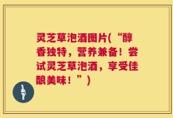 灵芝草泡酒图片(“醇香独特，营养兼备！尝试灵芝草泡酒，享受佳酿美味！”)