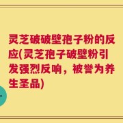 灵芝破破壁孢子粉的反应(灵芝孢子破壁粉引发强烈反响，被誉为养生圣品)