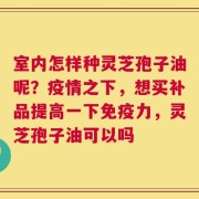 室内怎样种灵芝孢子油呢？疫情之下，想买补品提高一下免疫力，灵芝孢子油可以吗