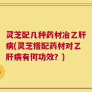 灵芝配几种药材冶乙肝病(灵芝搭配药材对乙肝病有何功效？)