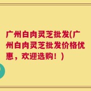 广州白肉灵芝批发(广州白肉灵芝批发价格优惠，欢迎选购！)