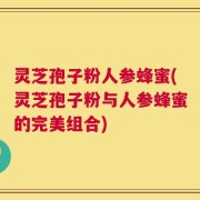 灵芝孢子粉人参蜂蜜(灵芝孢子粉与人参蜂蜜的完美组合)