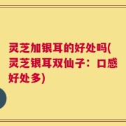 灵芝加银耳的好处吗(灵芝银耳双仙子：口感好处多)