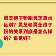 灵芝孢子粉跟灵芝煮水区别？灵芝和灵芝孢子粉的关系到底是怎么样的？谁更好？
