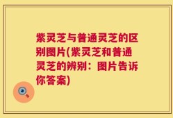 紫灵芝与普通灵芝的区别图片(紫灵芝和普通灵芝的辨别：图片告诉你答案)