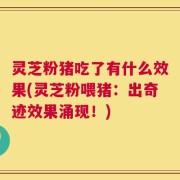 灵芝粉猪吃了有什么效果(灵芝粉喂猪：出奇迹效果涌现！)