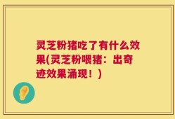 灵芝粉猪吃了有什么效果(灵芝粉喂猪：出奇迹效果涌现！)