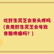 吃野生灵芝会骨头疼吗(食用野生灵芝会导致骨骼疼痛吗？)