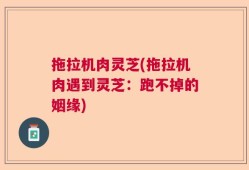拖拉机肉灵芝(拖拉机肉遇到灵芝：跑不掉的姻缘)