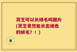 灵芝可以长绿毛吗图片(灵芝竟然能长出绿色的绒毛？！)