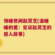 领暖世间赵灵芝(温暖暖的爱：见证赵灵芝的感人故事)
