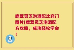 鹿茸灵芝泡酒配比窍门图片(鹿茸灵芝泡酒配方攻略，成功轻松学会！