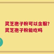 灵芝孢子粉可以含服？灵芝孢子粉能吃吗
