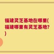 福建灵芝基地在哪里(福建哪里有灵芝基地？)