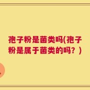 孢子粉是菌类吗(孢子粉是属于菌类的吗？)