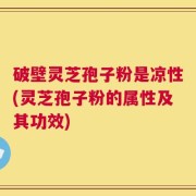破壁灵芝孢子粉是凉性(灵芝孢子粉的属性及其功效)