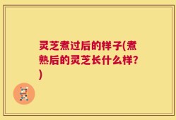 灵芝煮过后的样子(煮熟后的灵芝长什么样？)