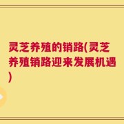 灵芝养殖的销路(灵芝养殖销路迎来发展机遇)