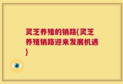 灵芝养殖的销路(灵芝养殖销路迎来发展机遇)