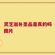 灵芝滋补圣品是真的吗图片