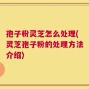 孢子粉灵芝怎么处理(灵芝孢子粉的处理方法介绍)