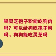 喝灵芝孢子粉能吃狗肉吗？可以给狗吃孢子粉吗，狗狗能吃灵芝吗