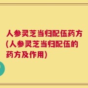 人参灵芝当归配伍药方(人参灵芝当归配伍的药方及作用)