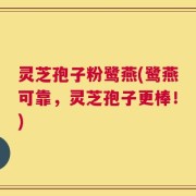 灵芝孢子粉鹭燕(鹭燕可靠，灵芝孢子更棒！)
