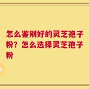 怎么鉴别好的灵芝孢子粉？怎么选择灵芝孢子粉