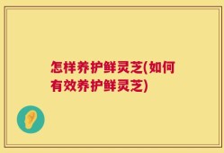怎样养护鲜灵芝(如何有效养护鲜灵芝)