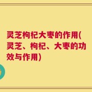灵芝枸杞大枣的作用(灵芝、枸杞、大枣的功效与作用)