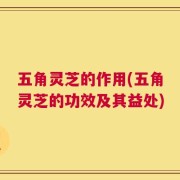 五角灵芝的作用(五角灵芝的功效及其益处)