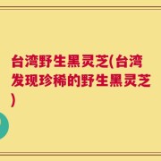 台湾野生黑灵芝(台湾发现珍稀的野生黑灵芝)