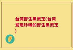 台湾野生黑灵芝(台湾发现珍稀的野生黑灵芝)