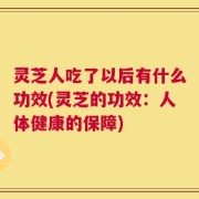 灵芝人吃了以后有什么功效(灵芝的功效：人体健康的保障)