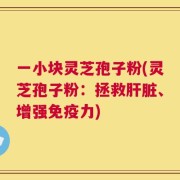 一小块灵芝孢子粉(灵芝孢子粉：拯救肝脏、增强免疫力)