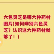 六色灵芝是哪六种药材图片(如何辨别六色灵芝？认识这六种药材就够了！)