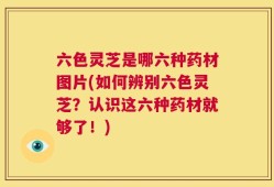 六色灵芝是哪六种药材图片(如何辨别六色灵芝？认识这六种药材就够了！)