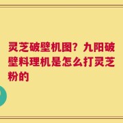灵芝破壁机图？九阳破壁料理机是怎么打灵芝粉的